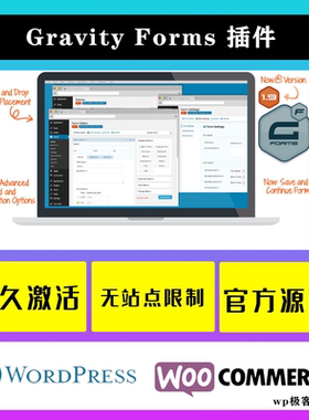 Gravity Forms WP插件 中文版 自定义表格设计高级表单插件