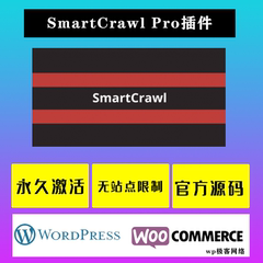 SmartCrawl Pro WP插件 中文版 检查分析优化爬虫SEO插件