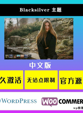 Blacksilver WP主题 Wordpress 专业摄影照片展示博客网站模板