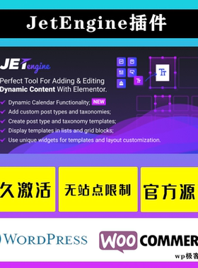 JetEngine WP插件 中文版 Elementor动态内容添加编辑插件
