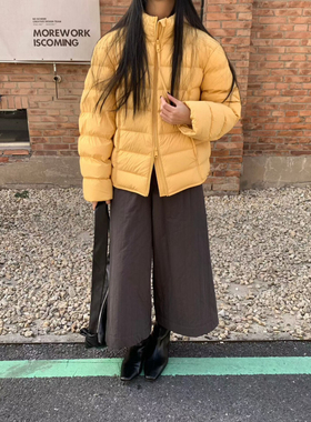 2026秋冬新款女装时尚百搭显瘦立领短款羽绒服排骨羽绒外套