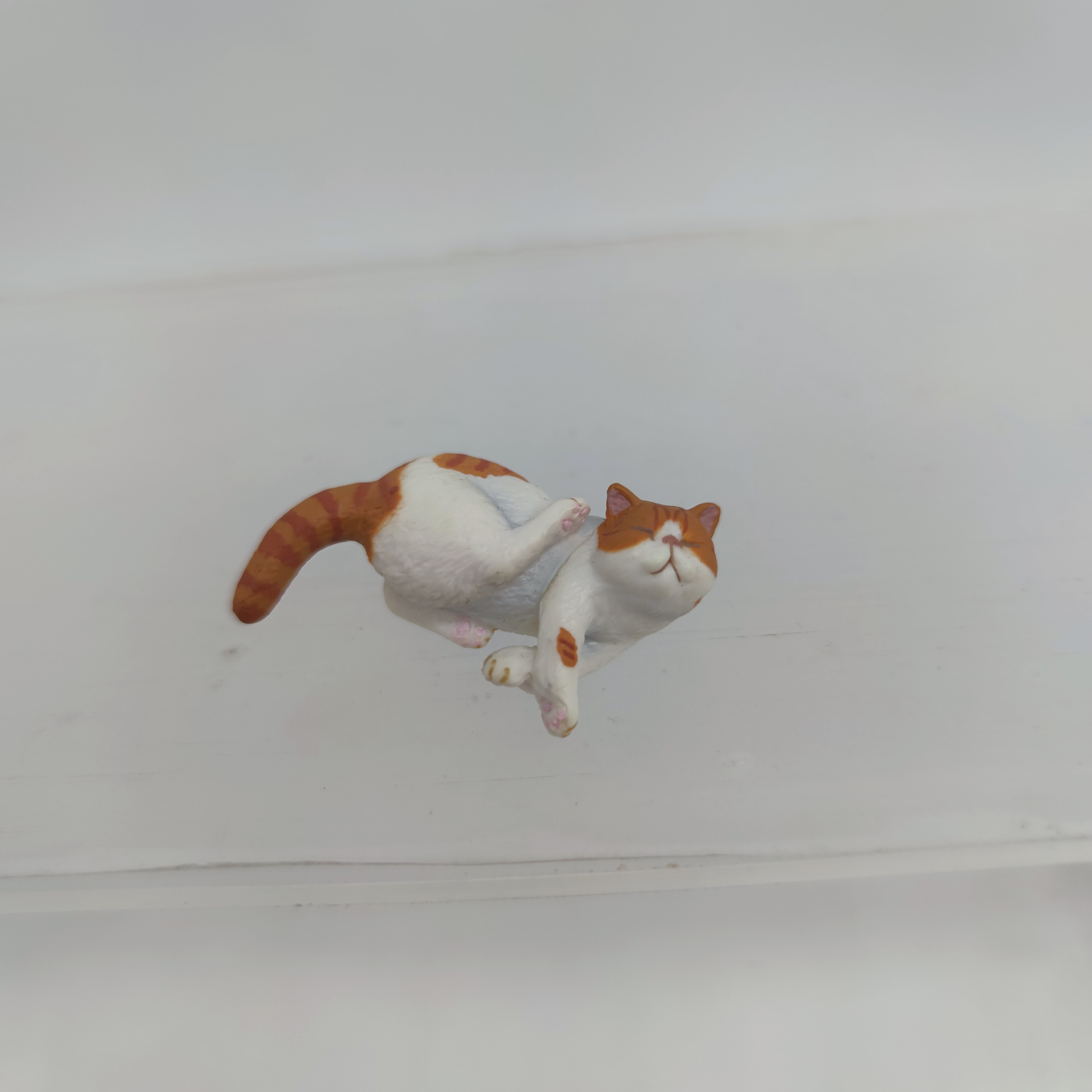 奇谭俱乐部杯子上的猫咪 异国短毛猫 加菲猫杯缘扭蛋促销包邮现货
