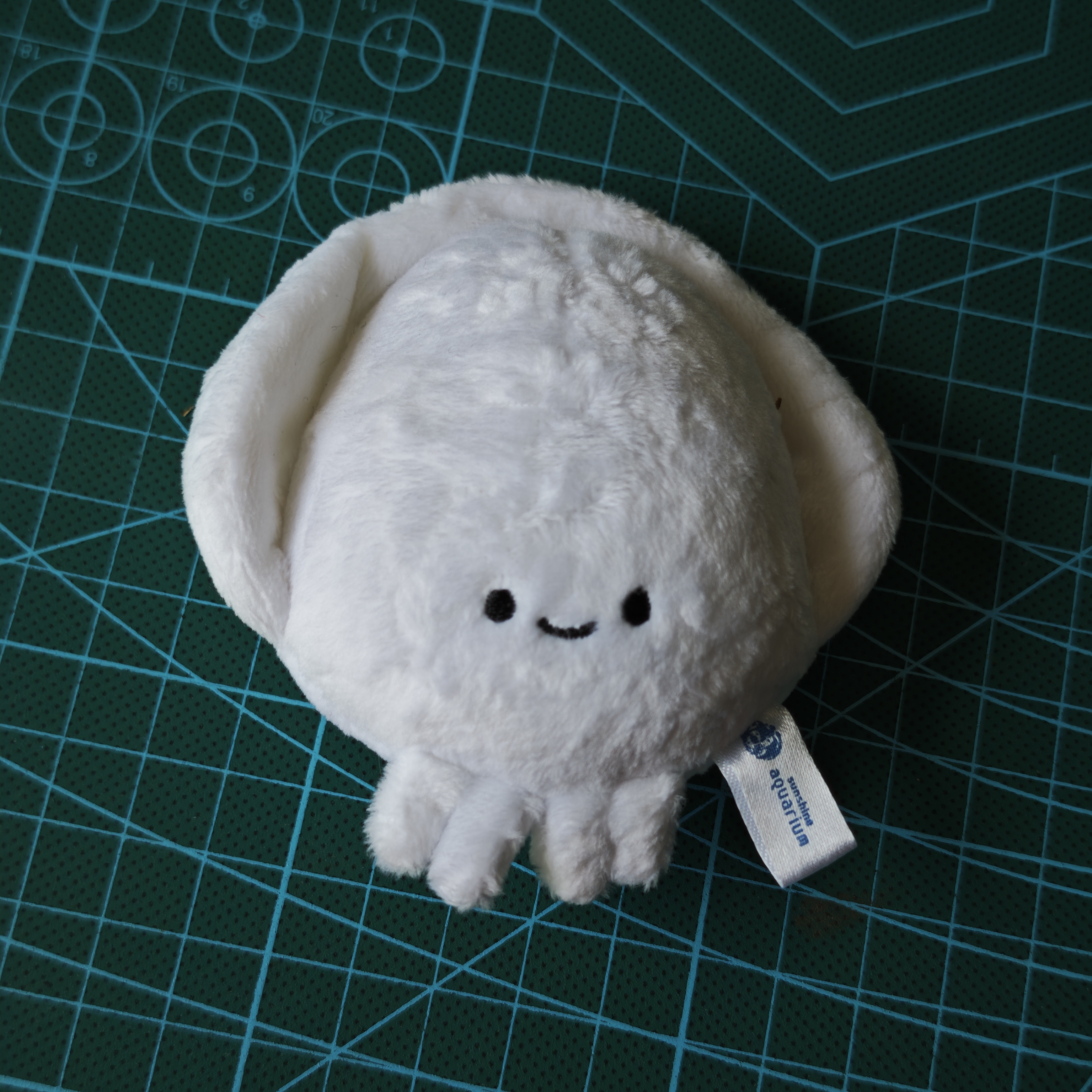 sunshine aquarium水族馆鱿鱼宝宝豆豆眼毛绒玩偶挂件背包链促销