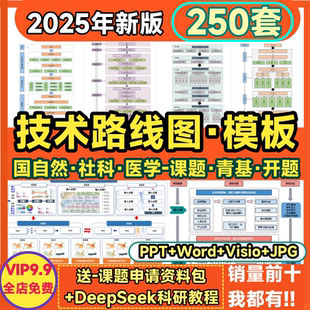 框架图流程图 技术路线图模板国自然Word生物医学PPT可编辑visio版