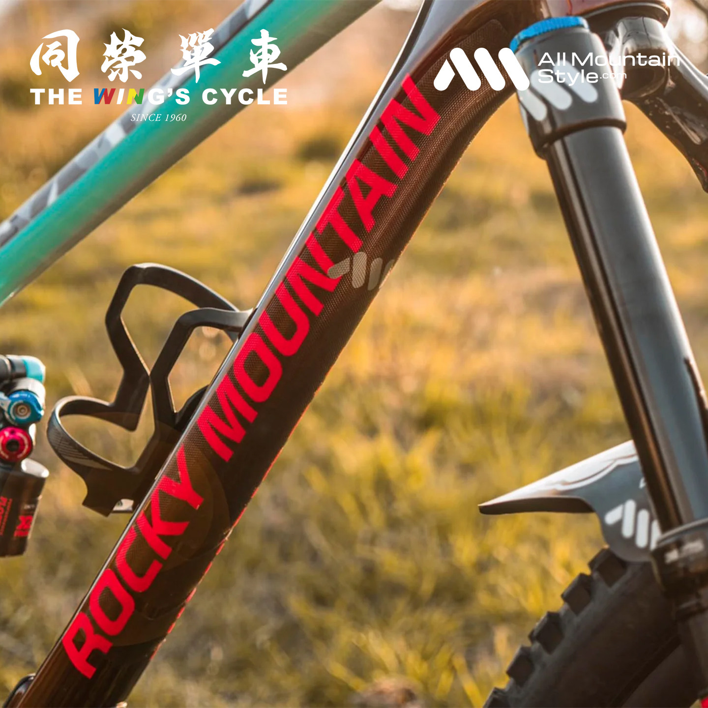 AMS蜂巢状Total全面版车架保护贴公路山地自行车通用防刮防磨25贴