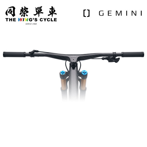 GeminiKastor山地一体把
