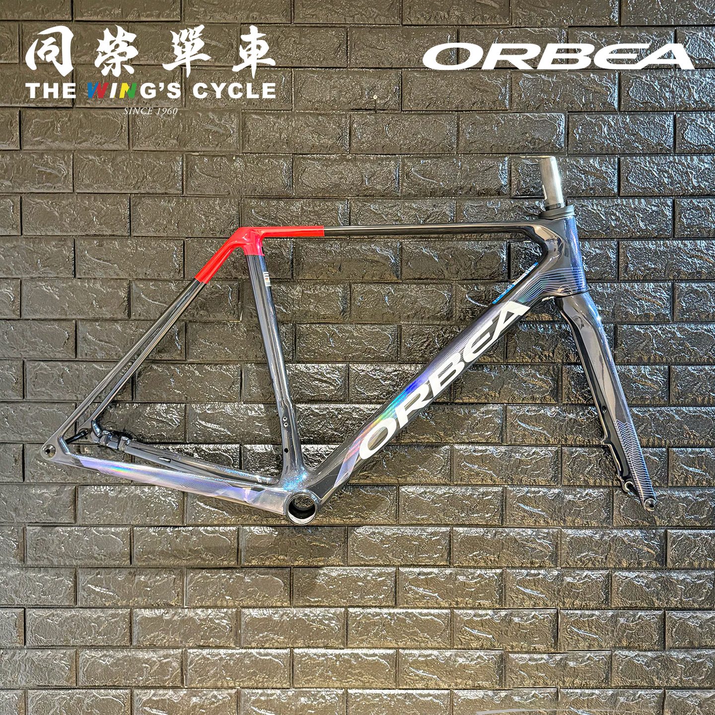 OrbeaOrcaOMX碳纤维公路车架