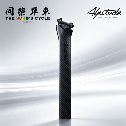 Alpitude碳纤维座管DogmaF2025
