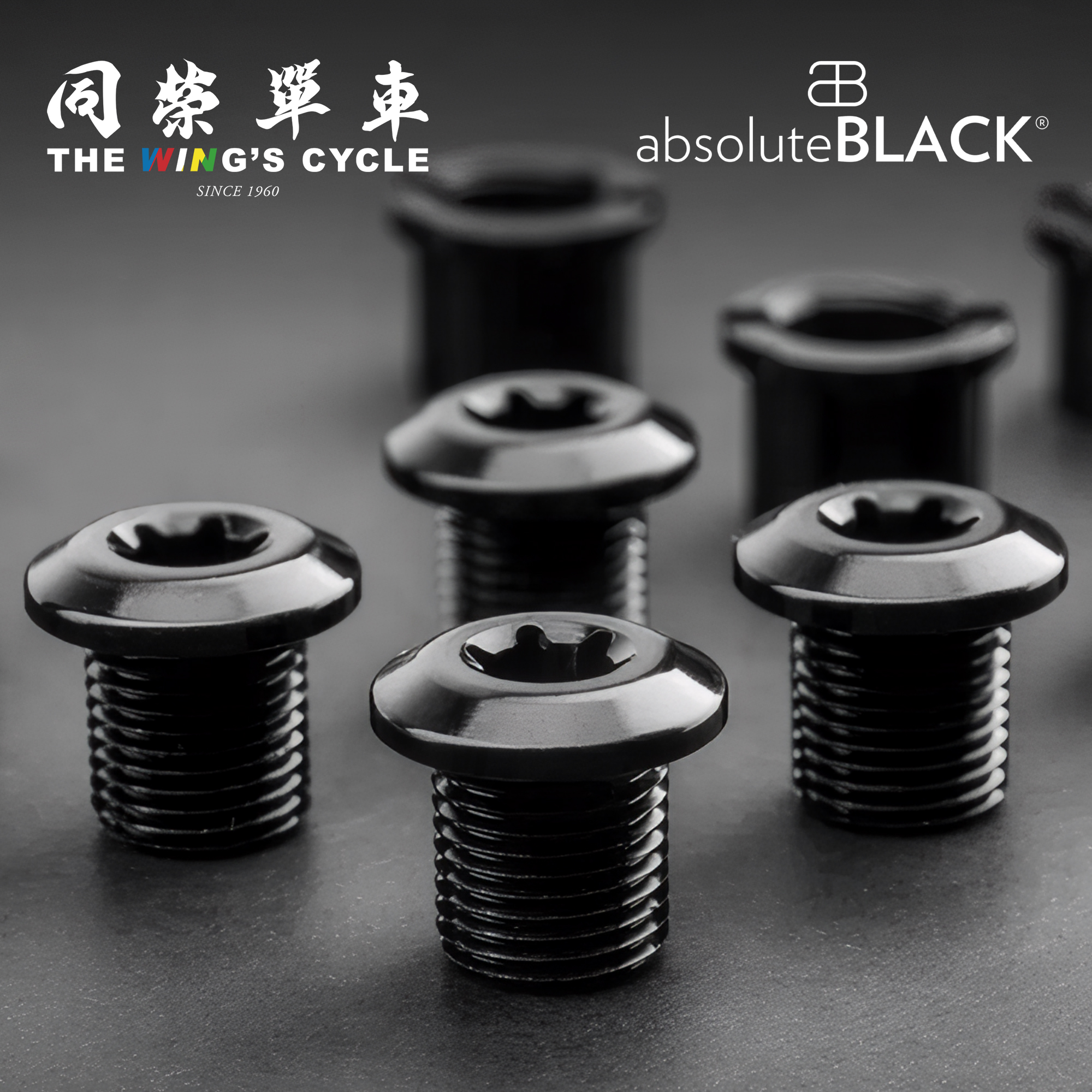 AbsoluteBlack牙盘螺丝