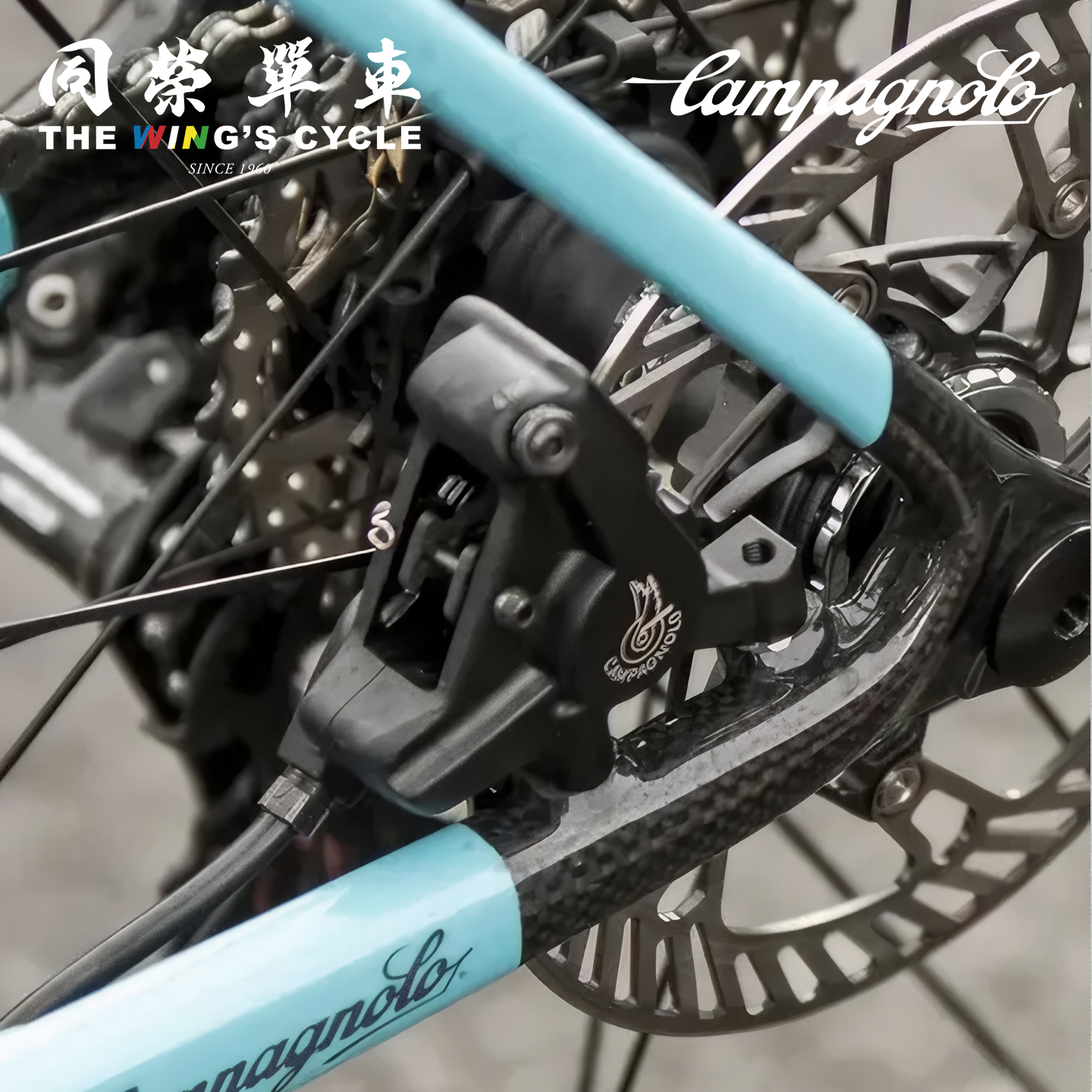 Campagnolo自行车零部件飞轮曲柄组EPS电子变速器手柄维修配件