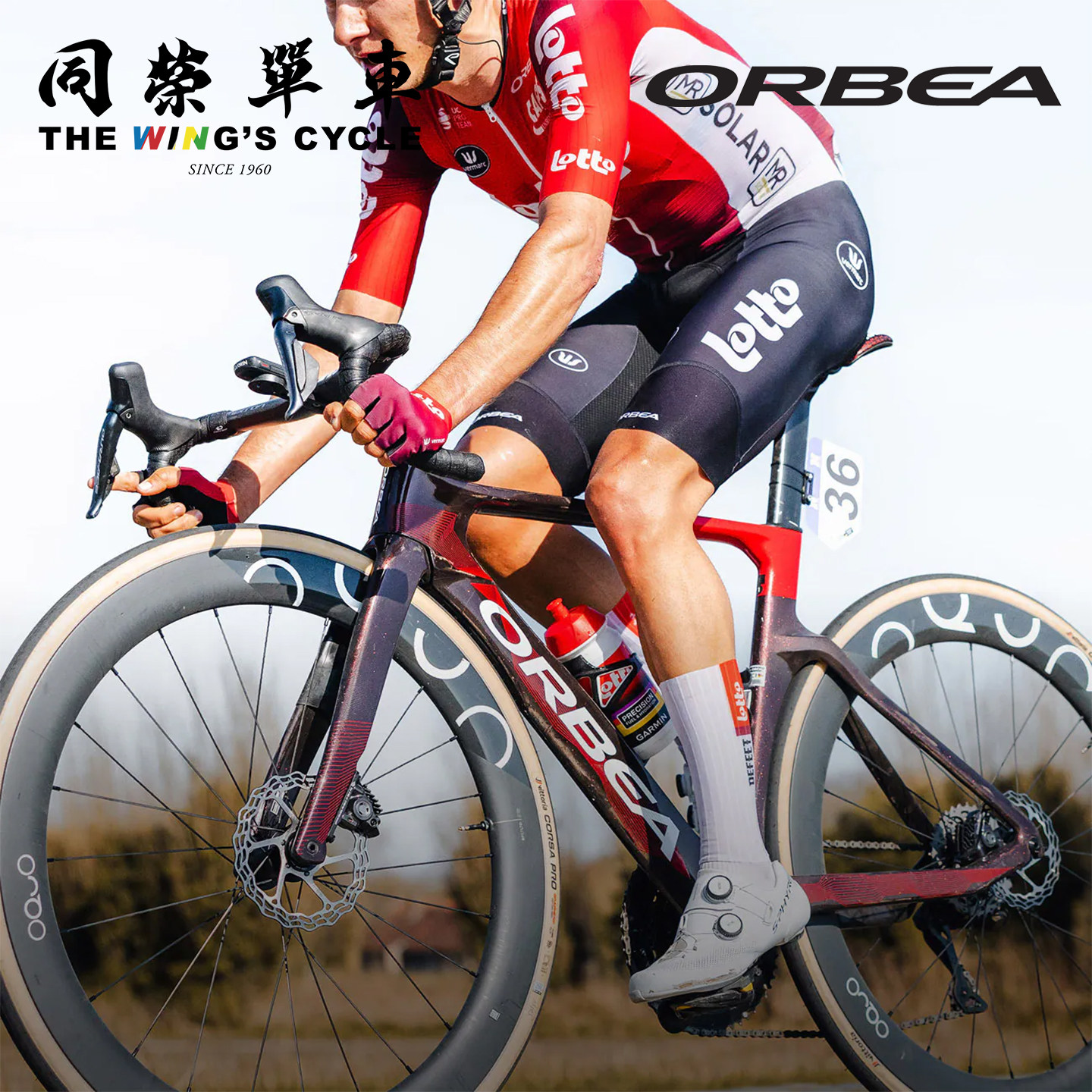 OrbeaOrca碳纤维公路车乐透车队