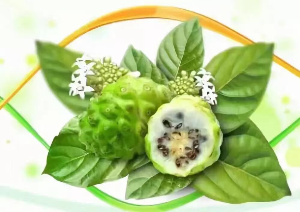 云南诺丽果西双版纳正品无添加清肠排便消炎止痛改善睡眠120克/包