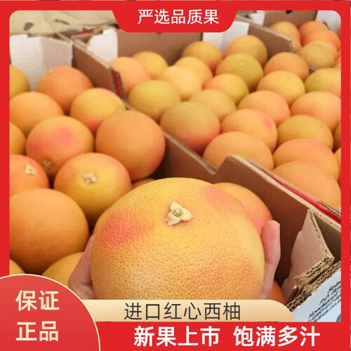 南非进口红心西柚葡萄柚当季新鲜进口红心柚补充叶酸孕妇水果包邮
