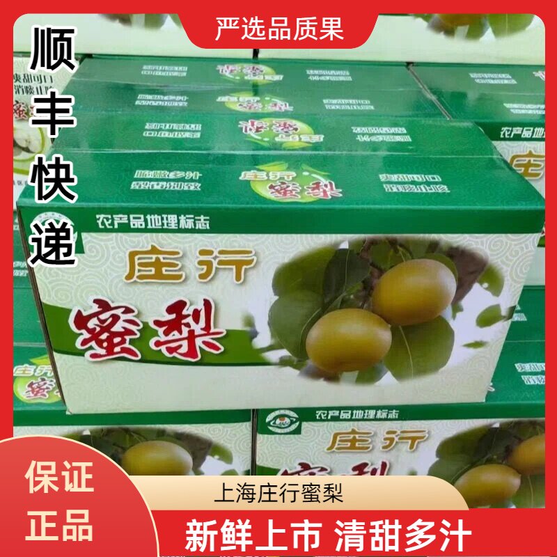 上海庄行蜜梨大果清甜多汁鲜顺丰