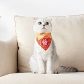国潮宠物猫咪狗狗三角巾猫咪围巾口水巾狗狗招财招财围巾好运装 扮
