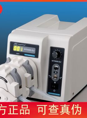 Longer兰格基本精密型蠕动泵WT600-2J-A/B