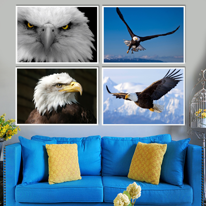 鹏程万里老鹰办公室客厅装饰画