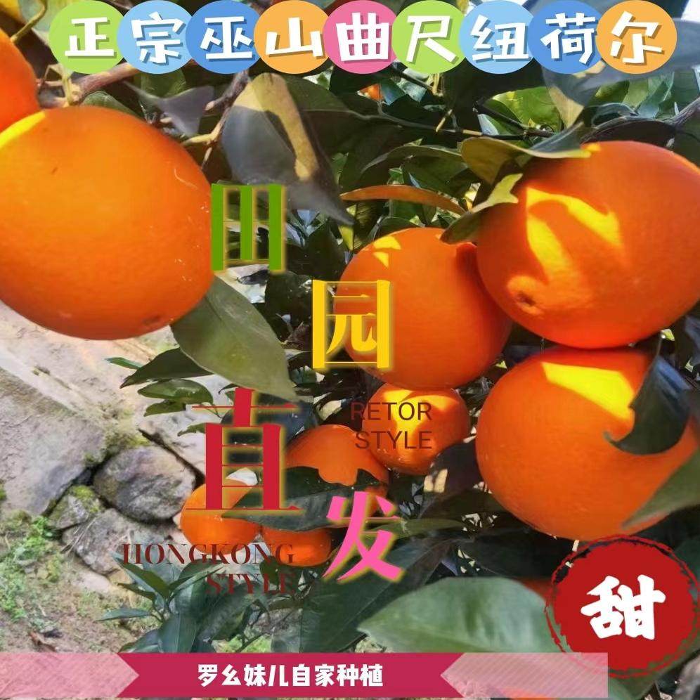 重庆巫山恋橙曲尺纽荷尔脐橙新鲜橙子水果5斤10斤20斤包邮果园直,水产肉类/新鲜蔬果/熟食,橙,淘宝优惠券,粉丝福利购,淘宝优惠卷