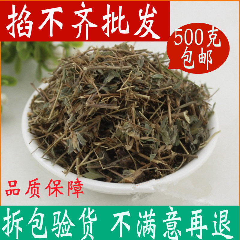 掐不齐鸡眼草三叶草 中药材店铺牛黄黄 公母草500克包邮中草药大