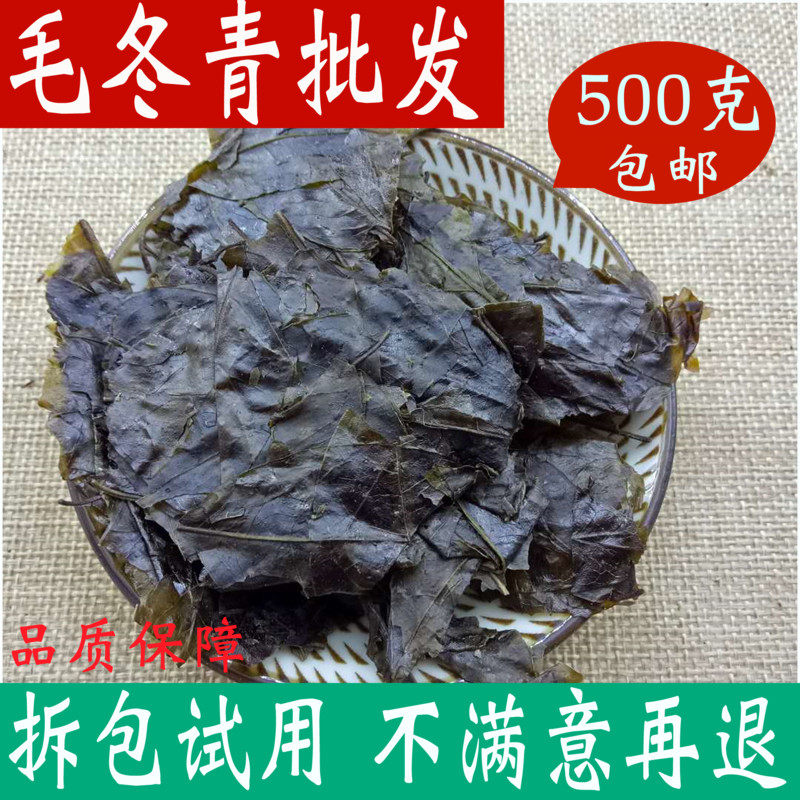毛冬青叶云南茶 特级 正品中药材店铺小大叶苦丁茶500g包邮散装