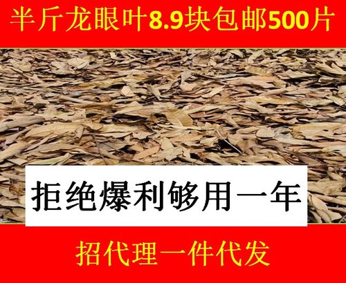 龙眼叶养龟养龟造景用品