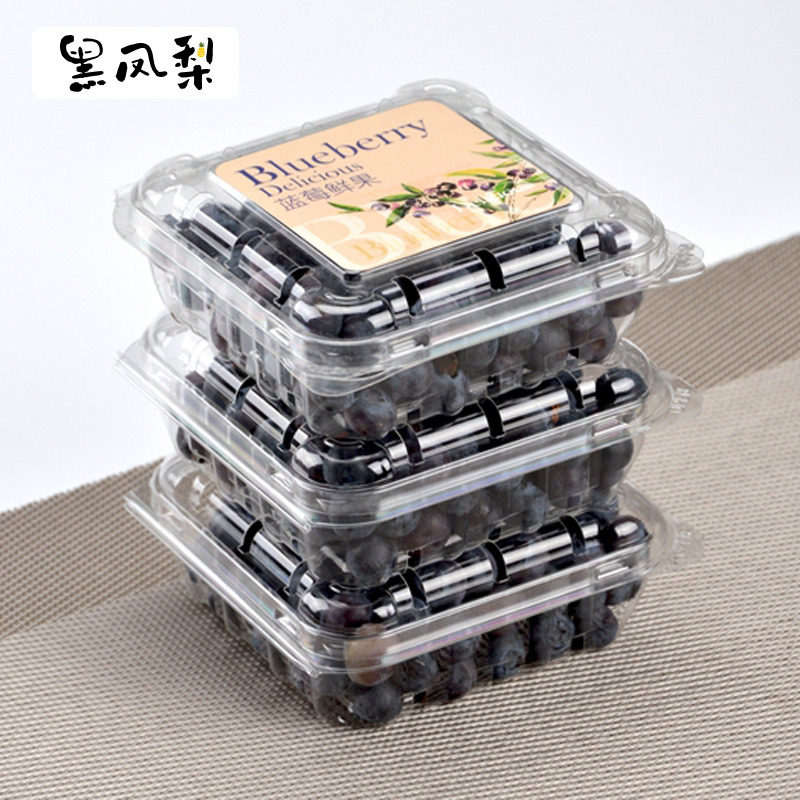 喇叭花125g蓝莓盒高档正方形一次性透明桑葚塑料加厚桑果盒100个
