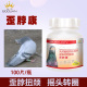 搏冠鸽药歪脖康信鸽子药大全歪头歪脖药赛鸽用鸽水便绿便常见病