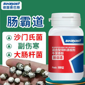 赛巴斯肠霸道鸽子药鸽药大全沙门氏大肠杆菌肠道水绿便白色常见病