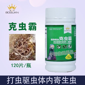 搏冠鸽药克虫霸信鸽子药大全打虫驱虫体内寄生虫蛔虫线虫一粒清