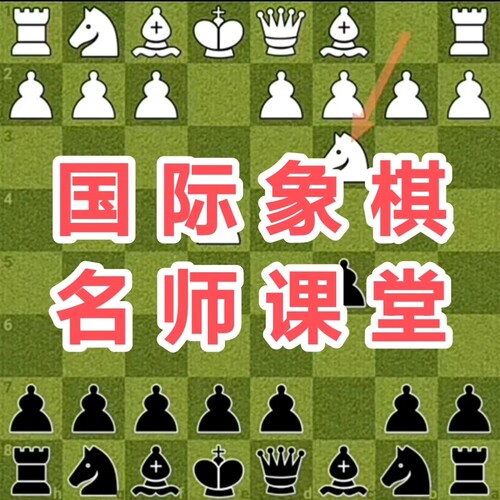 国际象棋名师课堂视频微课堂网课儿童大师培训中局残局开局中高级