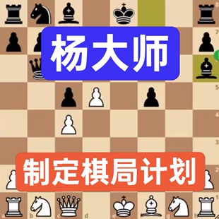 国际象棋制定棋战计划中局计划中高级直播网课自学培训视频录播课