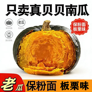 贝贝南瓜惠和一号老南瓜山东特产日本进口种子板栗味老南瓜现摘发