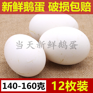 农家散养新鲜鹅蛋当天特大鹅蛋生态散养土鹅蛋孕妇去胎毒12枚 包邮