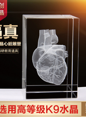 3d立体解剖模型图定制水晶内雕