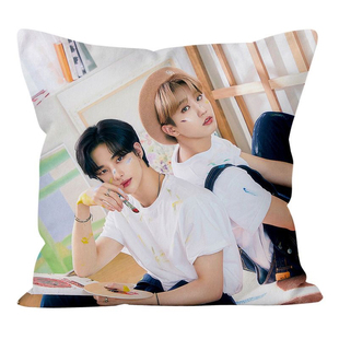 stray kids周边黄铉辰李龙馥felix同款定制抱枕海报玩偶应援礼物