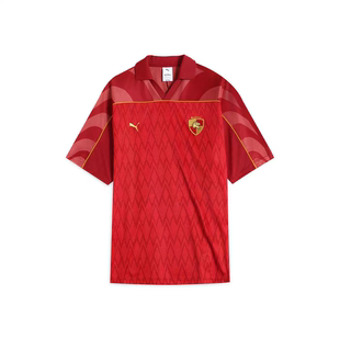 上衣 T恤男女PUMA彪马官方夏季 630096 纹短袖 哈利波特联名学院风格