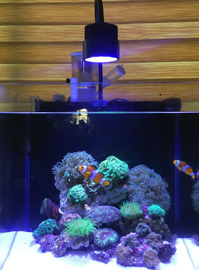 珊瑚缸灯海缸led灯微缸珊瑚灯海水缸补光手机APP蓝牙模拟日出日落