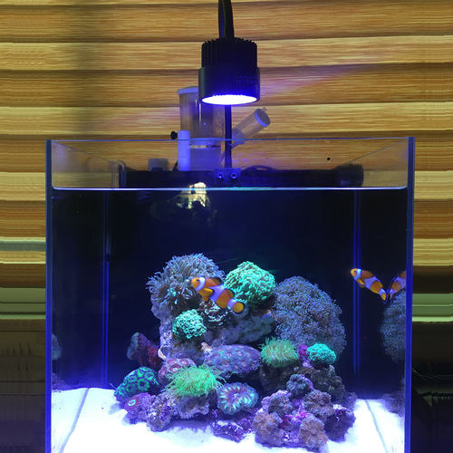 珊瑚灯海缸全光谱LED灯日出日落