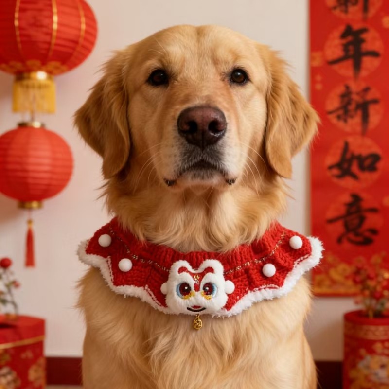 大狗新年围脖结婚宠物喜庆围巾大型犬狗狗围脖大型犬过年红色项圈,宠物/宠物食品及用品,围巾/口水巾,淘宝优惠券,粉丝福利购,淘宝优惠卷