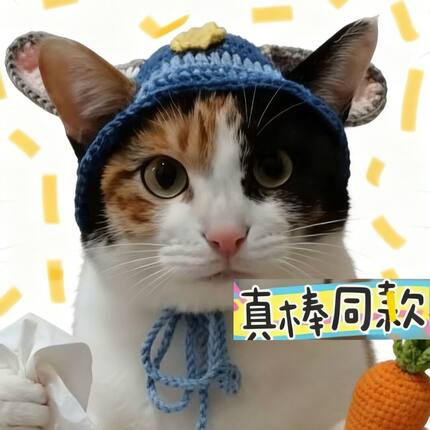 抖音同款迪士尼疯狂动物城兔子朱迪猫咪帽子成品 可爱/手工/针织
