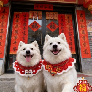 狗狗猫咪福字围脖项圈毛线宠物围兜狗保暖配饰喜庆新年