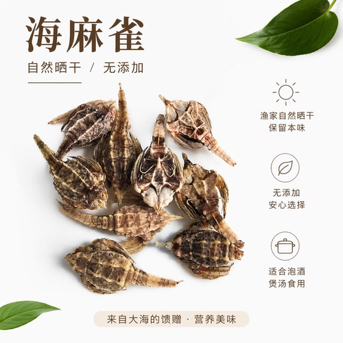 海麻雀干货煲汤泡酒10克