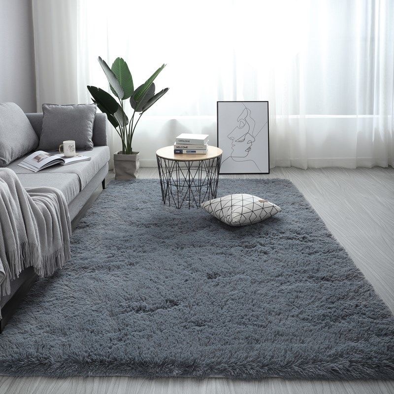 Thickened silk carpet bedroom bed living room coffee table