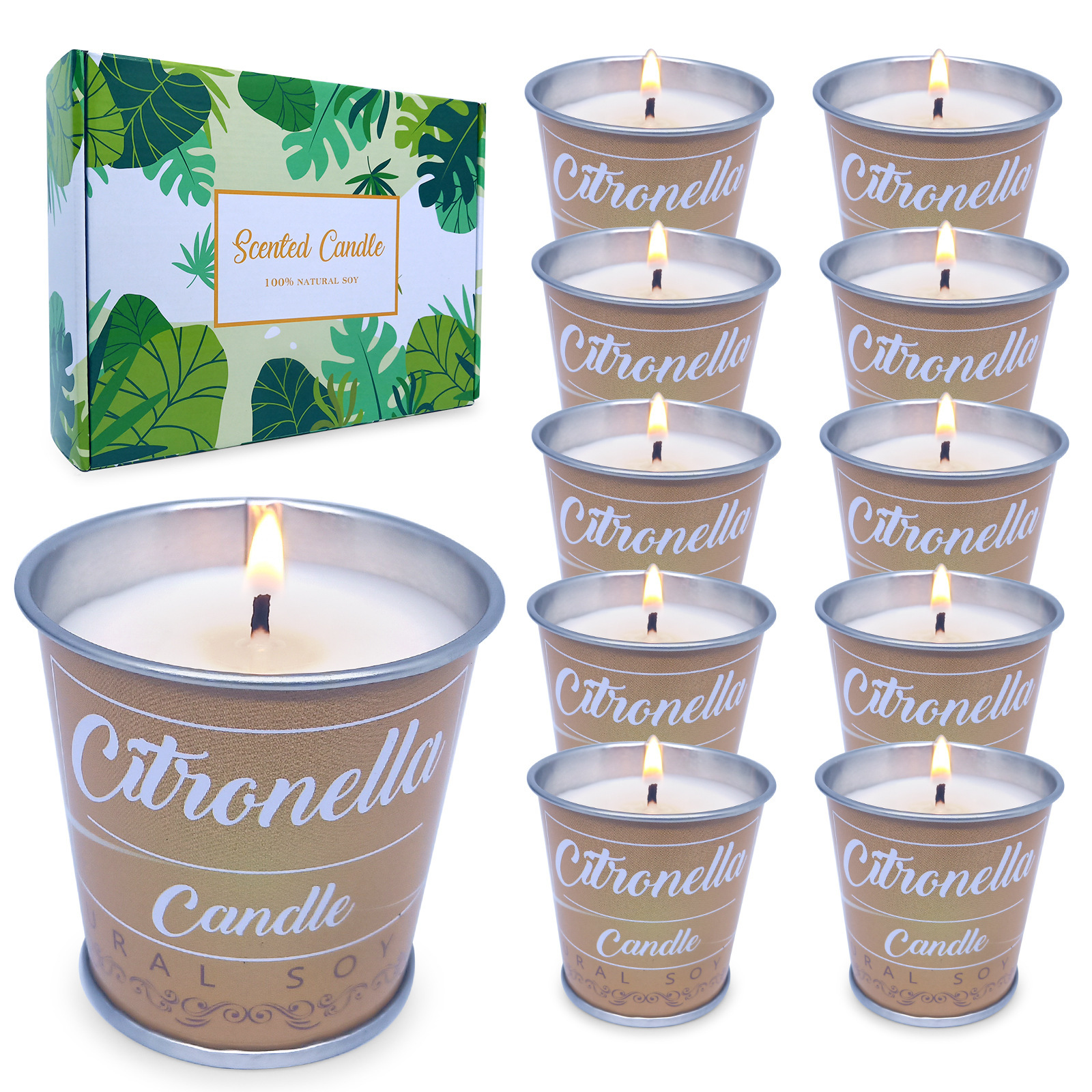 Purifying Mosquito Repellent Essential Oil Plant Soy Wax Aro