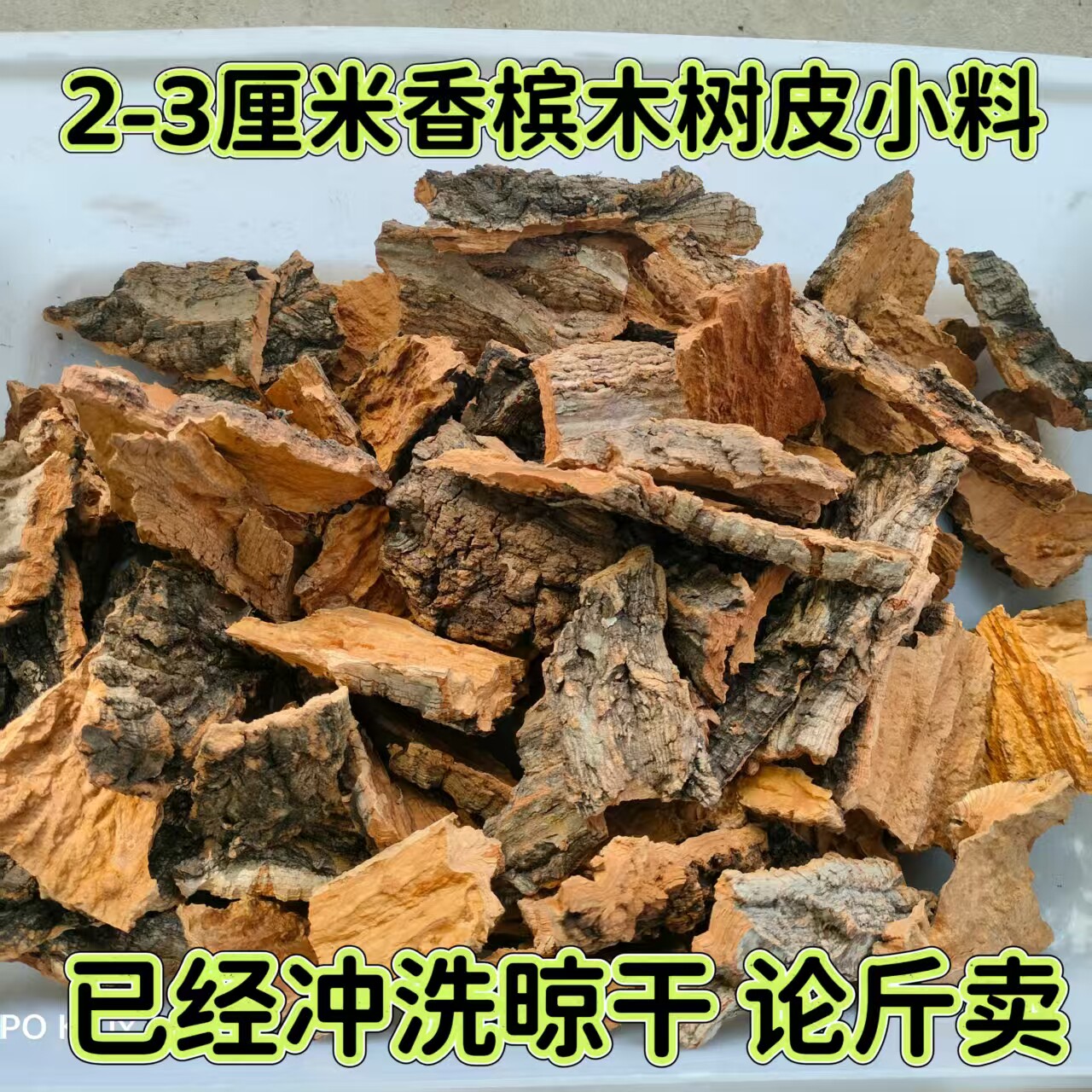 天然水族沉木两脚乌龟晒台南美