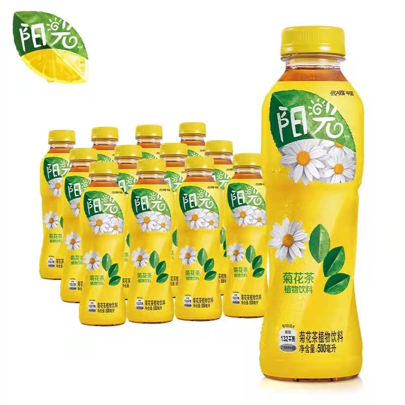 阳光菊花茶500广州植物饮料瓶装
