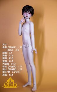 DF-H DFH 56体 56少年体（不带头、体妆）官方正品