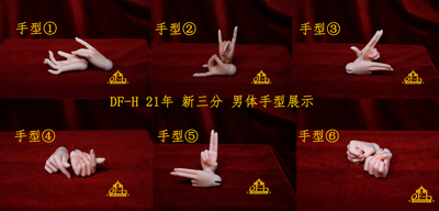 DF-H1/3三分男体通用手型