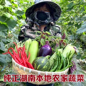 湖南农家自种当季新鲜蔬菜组合装青椒茄子南瓜丝瓜苦瓜黄瓜红辣椒
