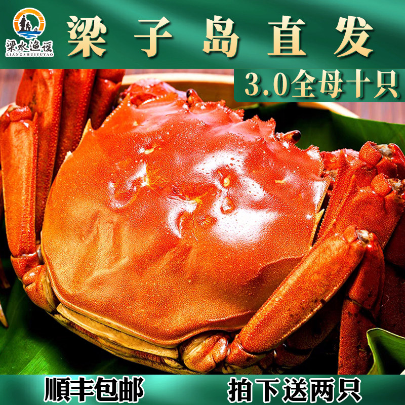 湖北梁子鲜活大闸蟹特大全母蟹3.0十只礼盒装 特产水产 螃蟹 河蟹